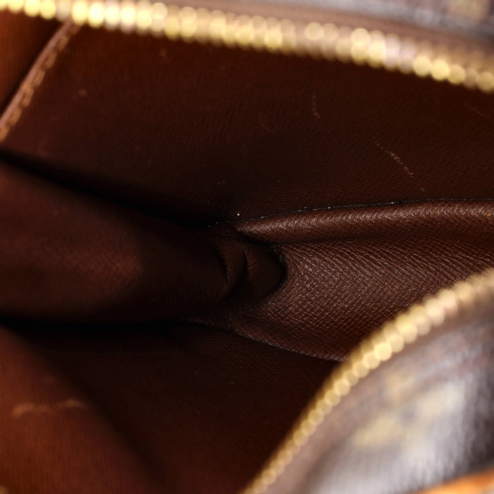 Danube Handbag Monogram Canvas