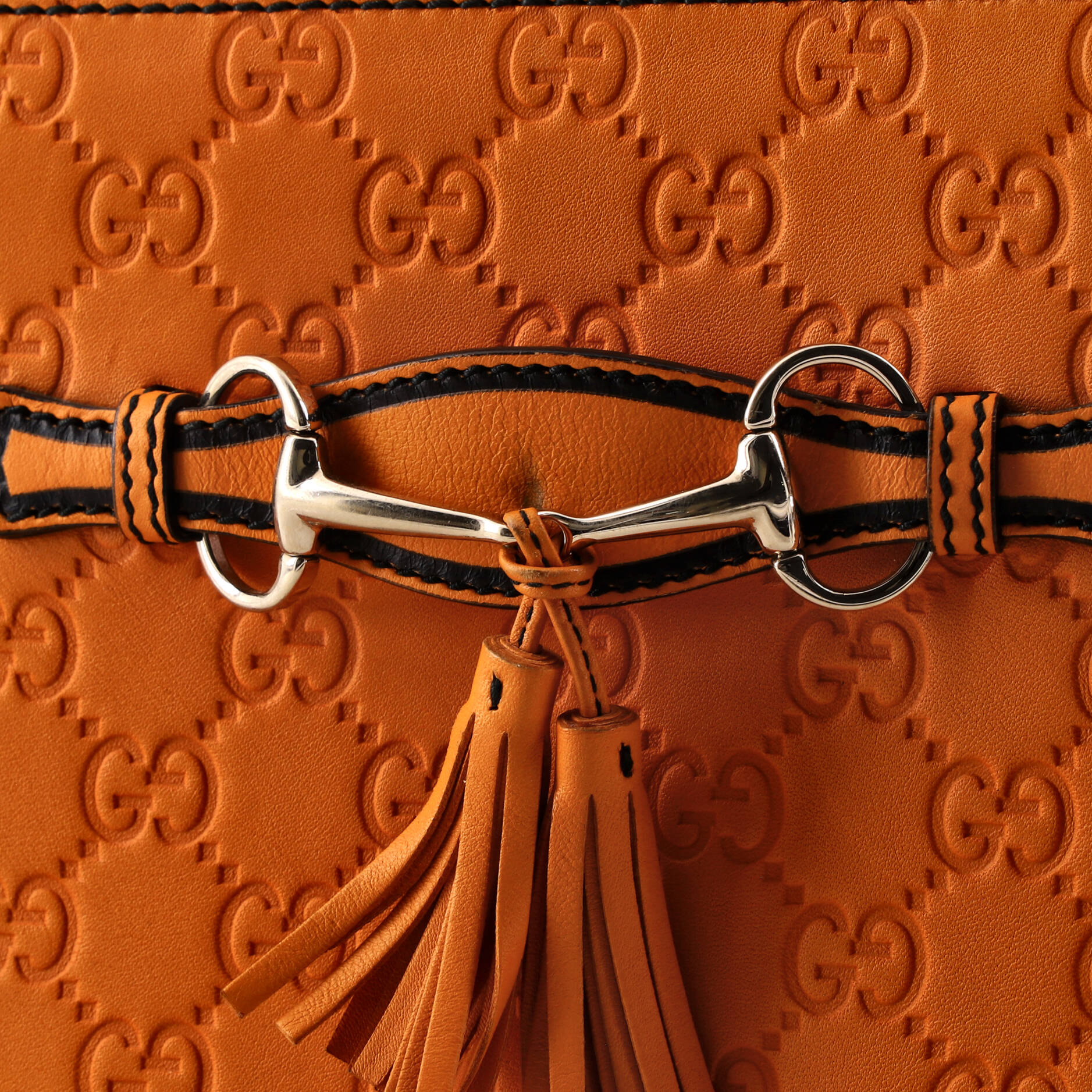 Emily Chain Flap Shoulder Bag Guccissima Leather Small