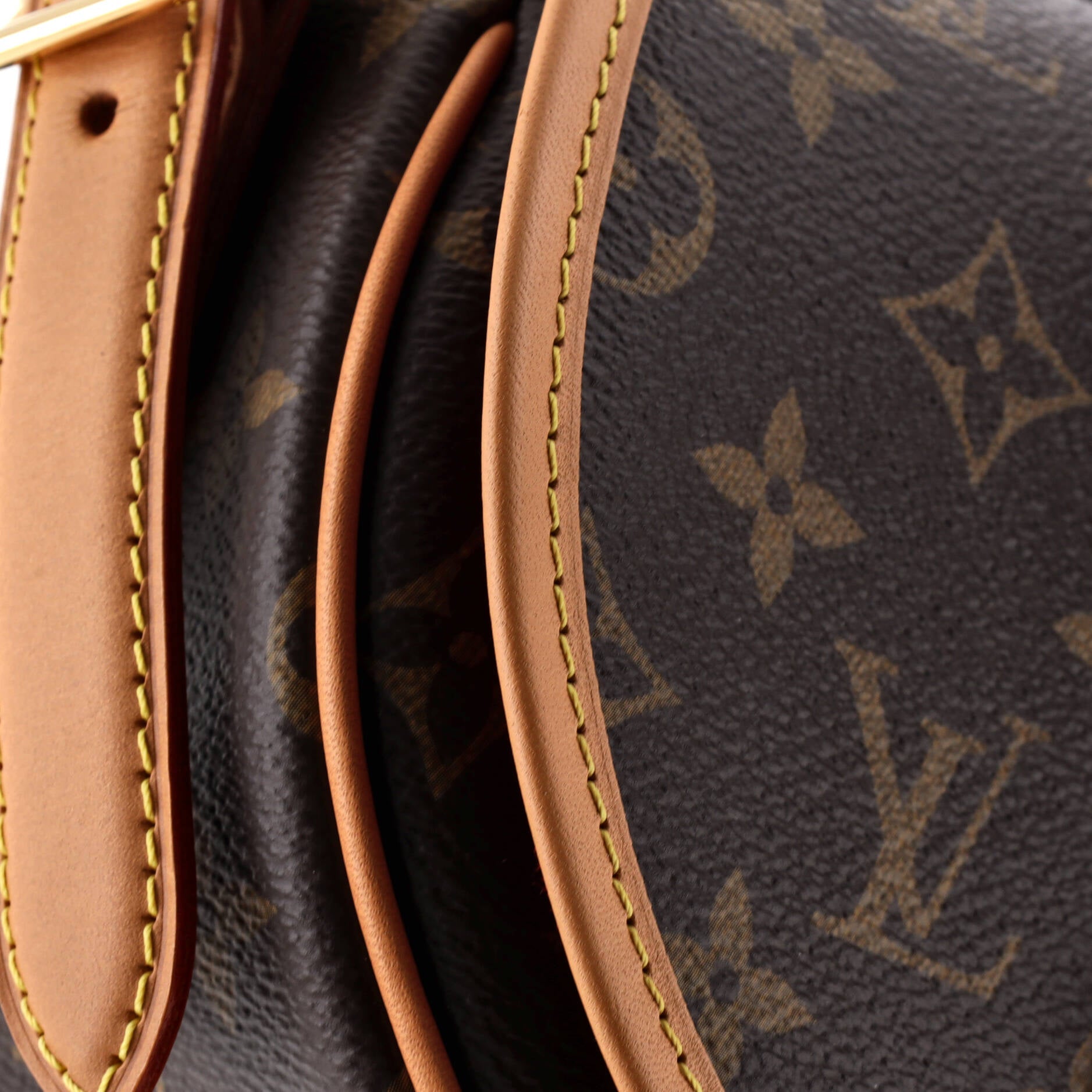 Tambourin NM Handbag Monogram Canvas