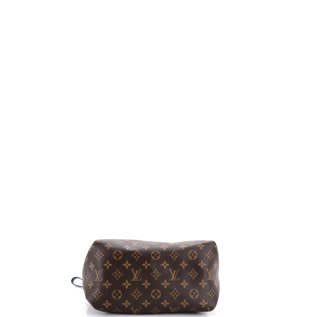 Braided Handle Beaubourg Hobo Monogram Canvas Mini