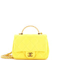Resin Chain Top Handle Flap Bag Quilted Lambskin Mini
