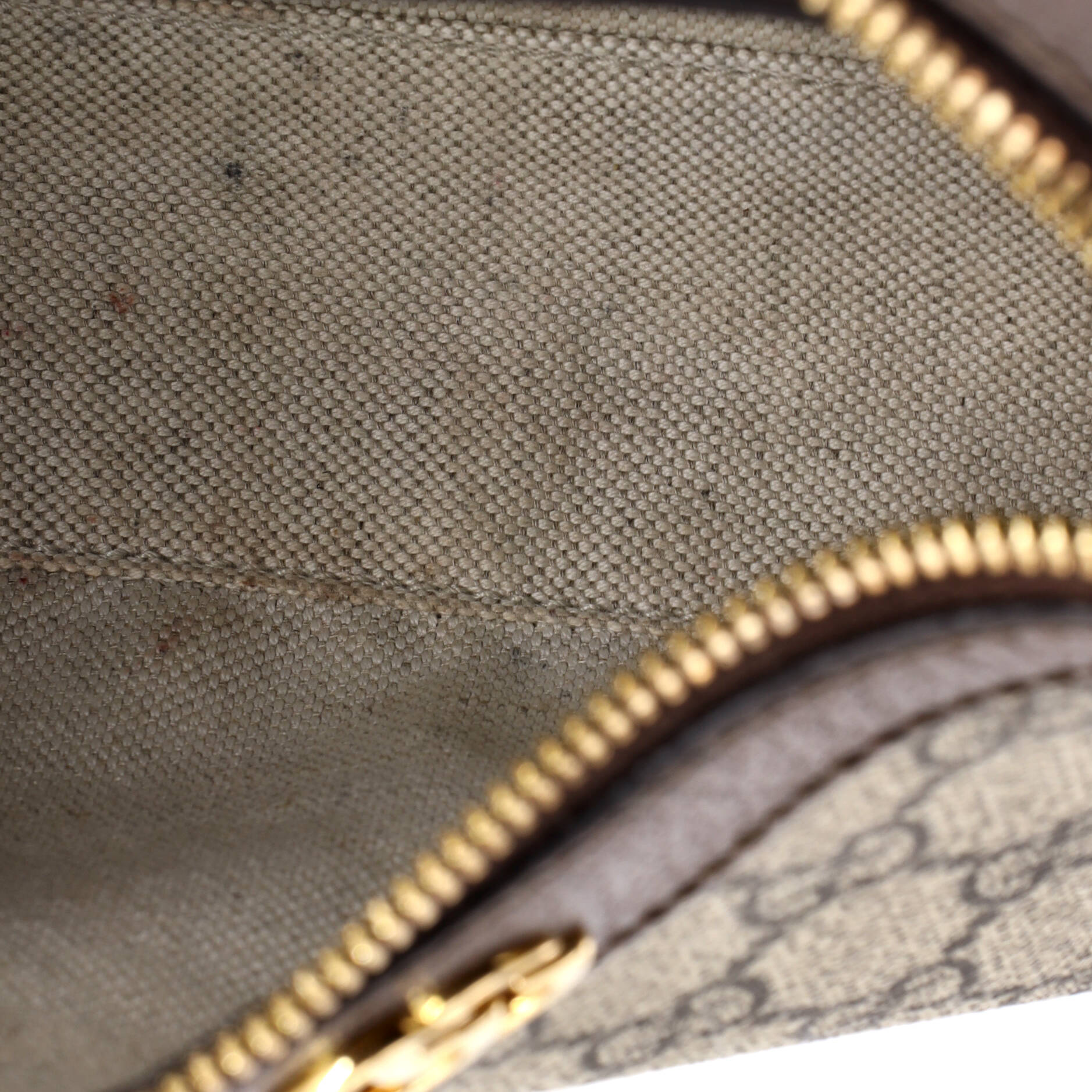 Ophidia Charm Shoulder Bag GG Coated Canvas Small