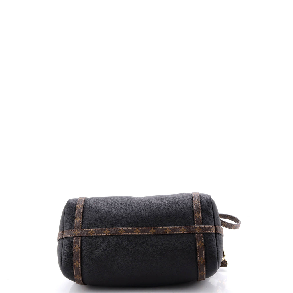 Express Handbag Leather with Monogram Canvas PM