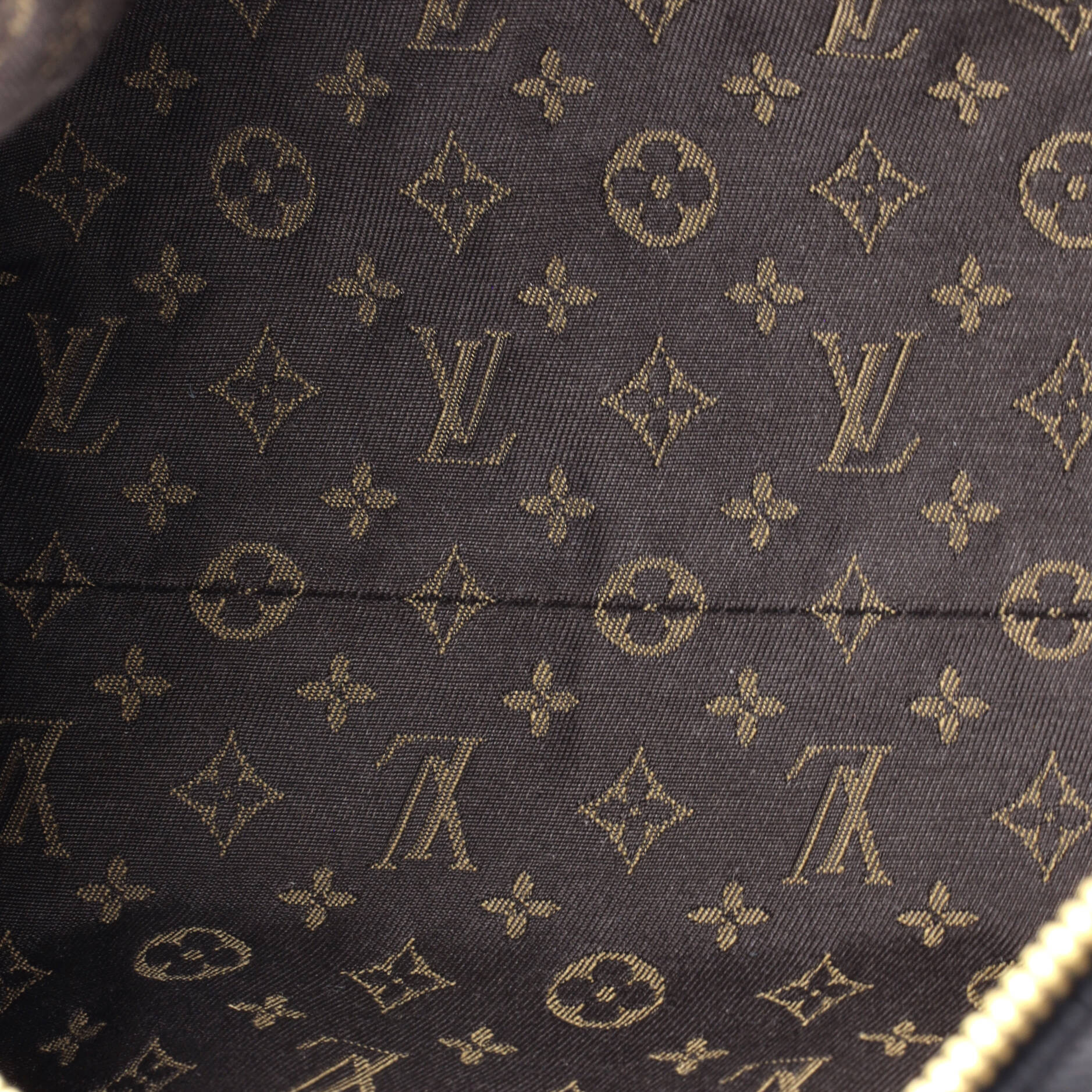 Express Handbag Leather with Monogram Canvas PM