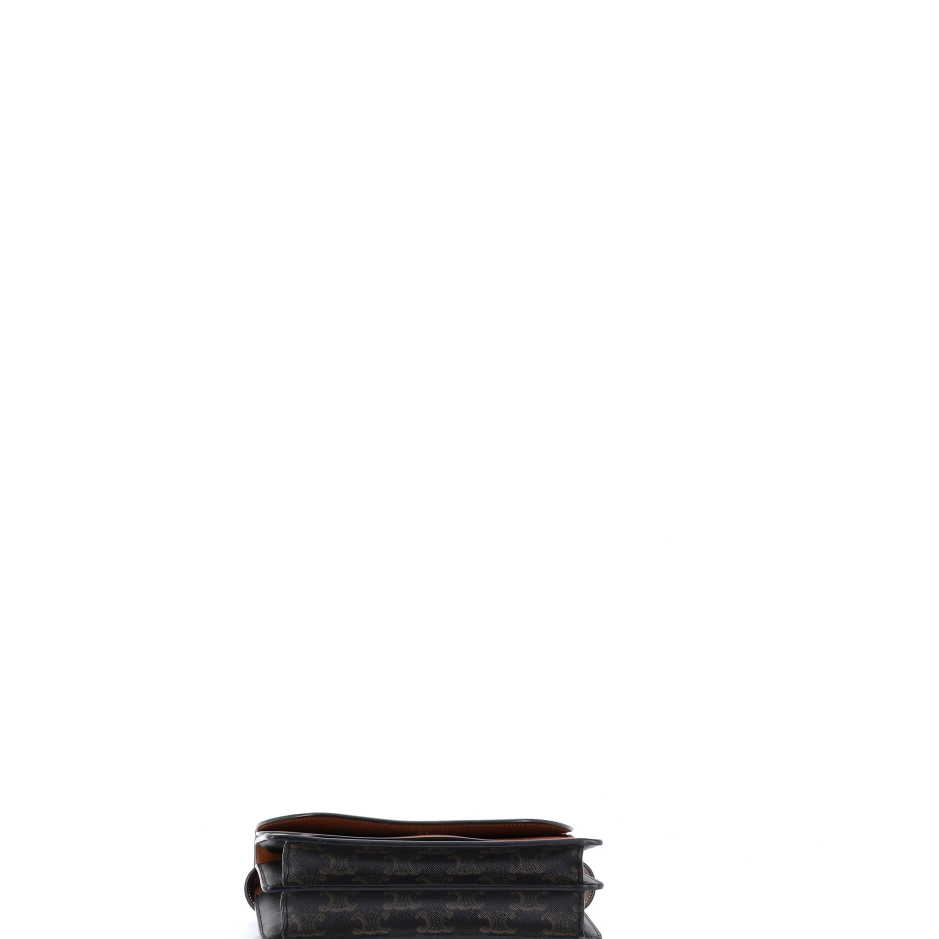Wallet on Strap Triomphe Coated Canvas