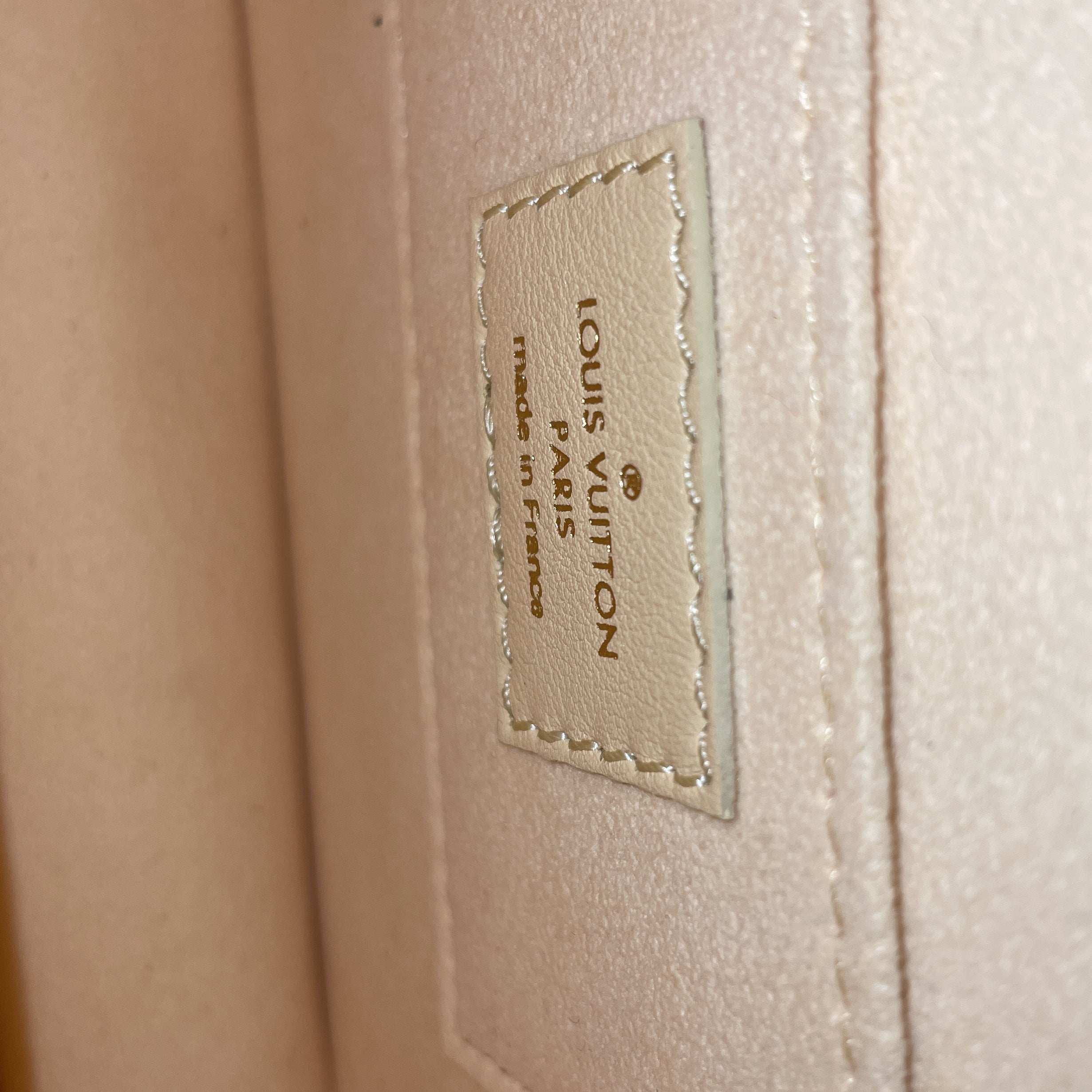 Dauphine Shoulder Bag Nanogram Embossed Leather Mini