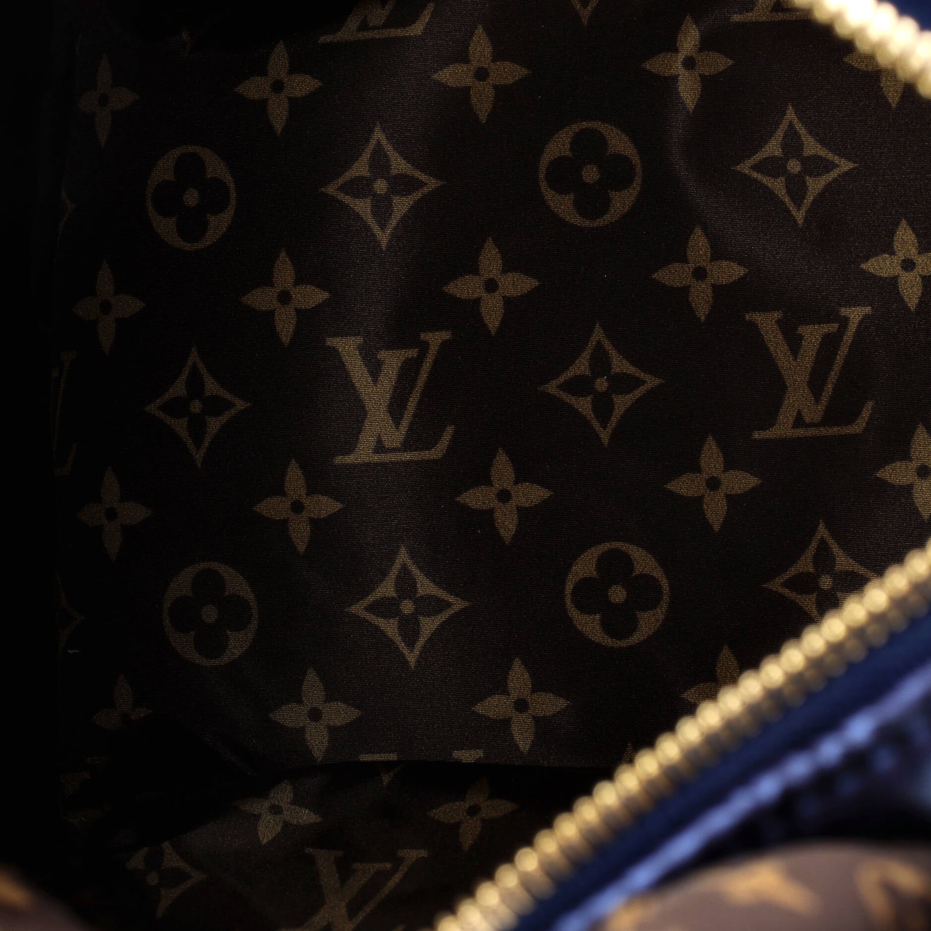 Speedy Bandouliere Bag Monogram Quilted Econyl Nylon 25