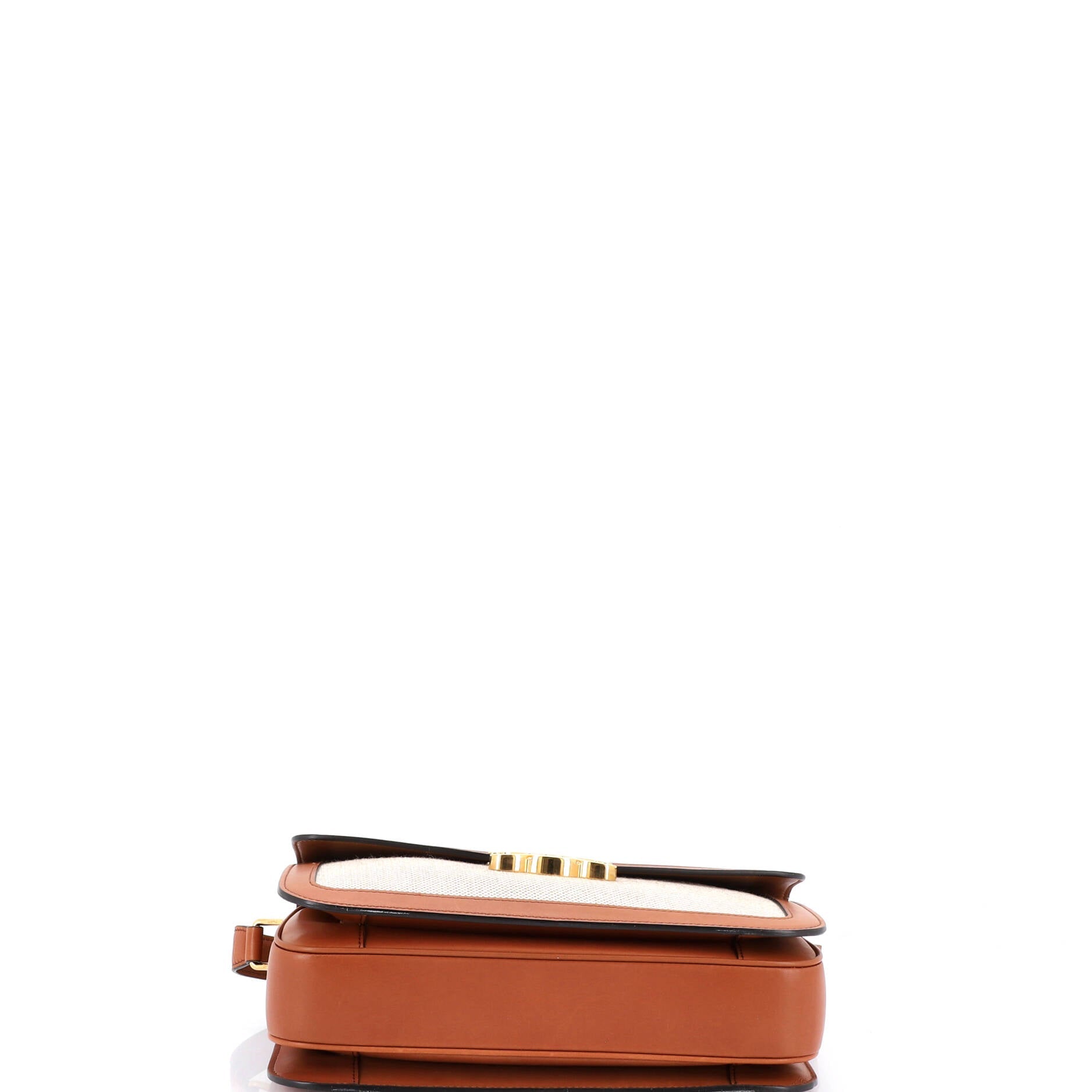 Triomphe Shoulder Bag Canvas with Leather Medium