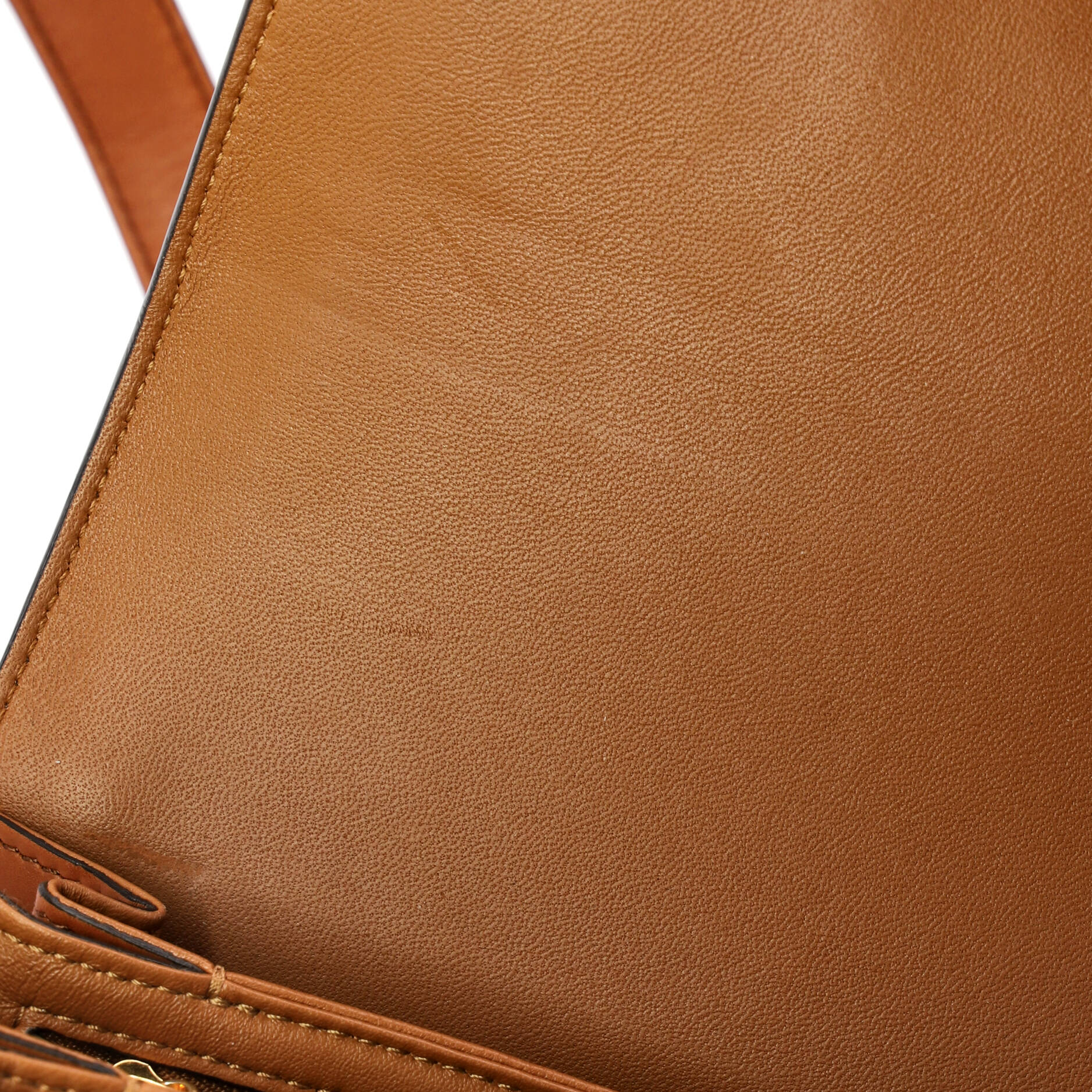 Triomphe Shoulder Bag Canvas with Leather Medium