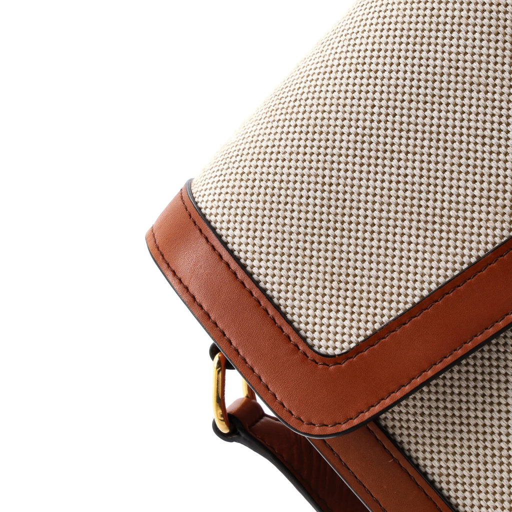 Triomphe Shoulder Bag Canvas with Leather Medium