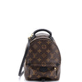 Palm Springs Backpack Monogram Canvas Mini