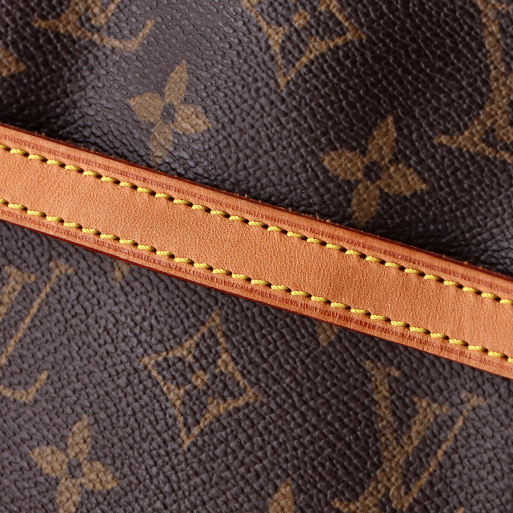 Danube Handbag Monogram Canvas