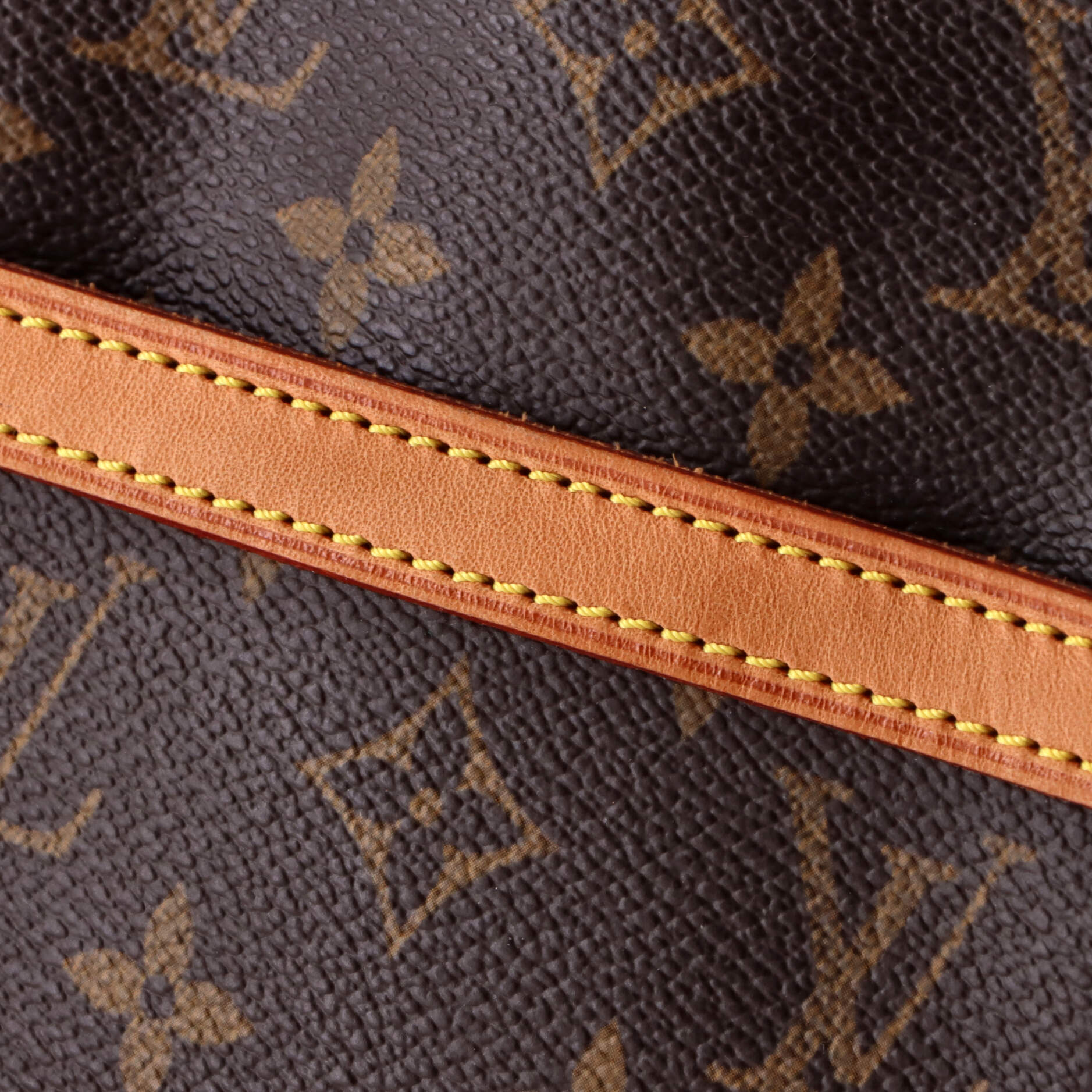 Danube Handbag Monogram Canvas