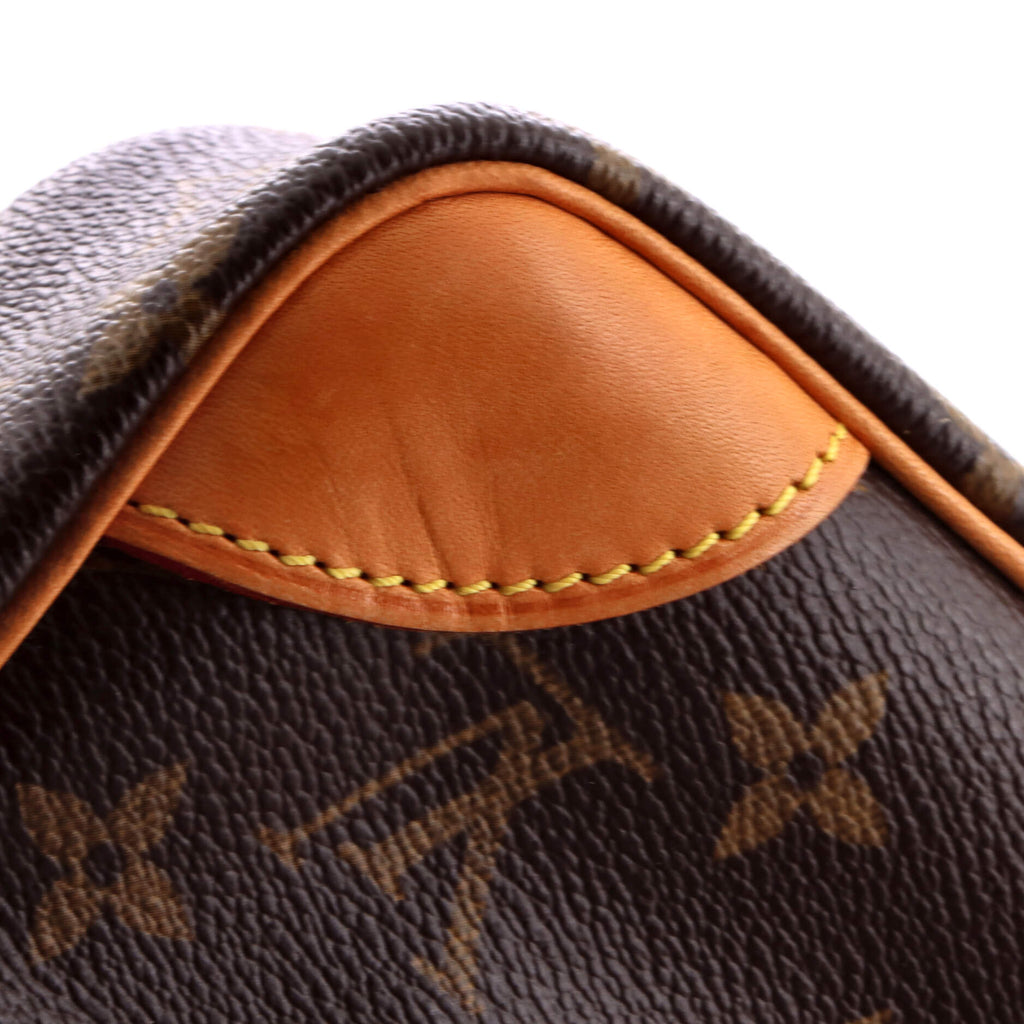 Danube Handbag Monogram Canvas