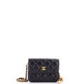 Pearl Crush Flap Clutch with Chain Quilted Lambskin Mini