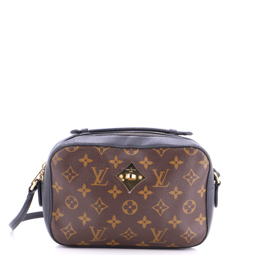 Saintonge Handbag Monogram Canvas with Leather