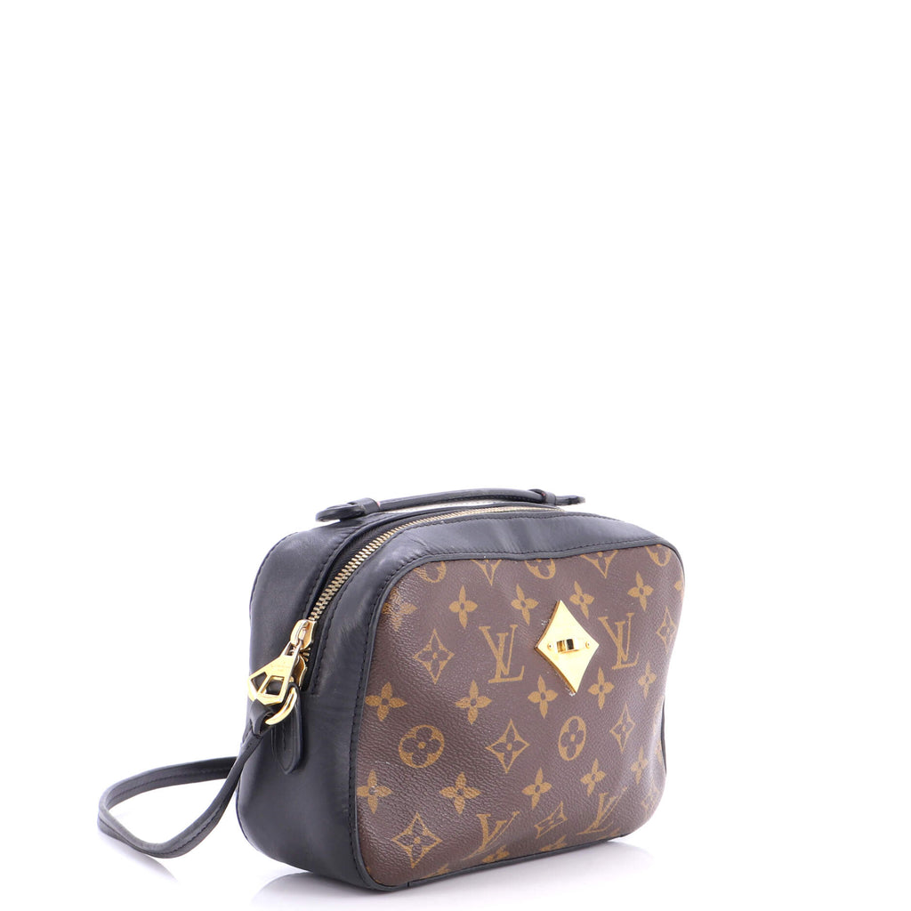 Saintonge Handbag Monogram Canvas with Leather