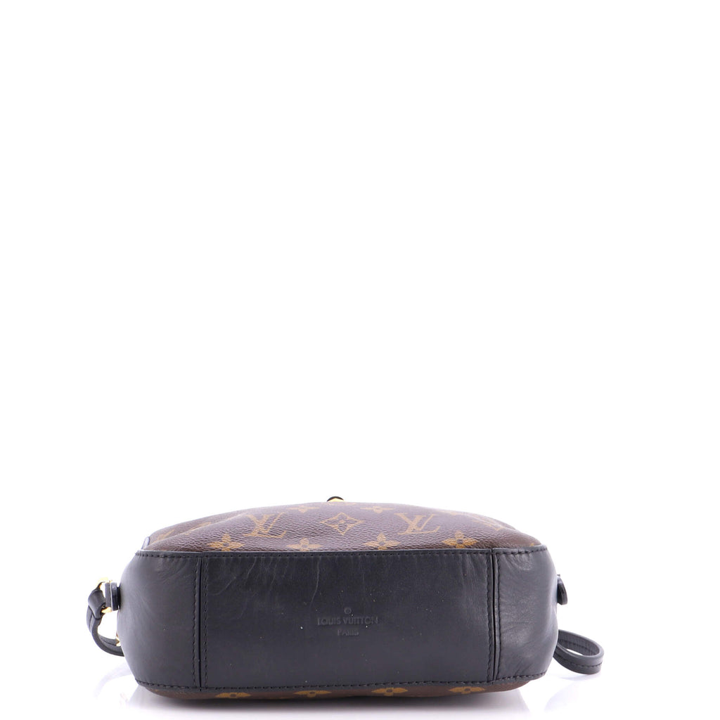 Saintonge Handbag Monogram Canvas with Leather