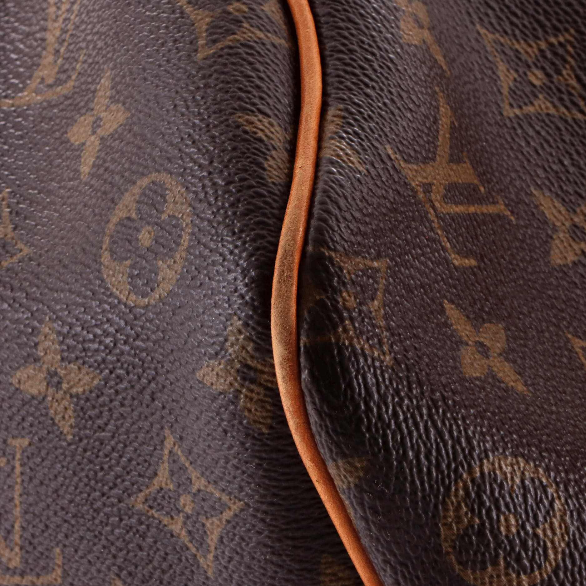Delightful Handbag Monogram Canvas PM