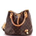 Neo Shoulder Bag Monogram Canvas
