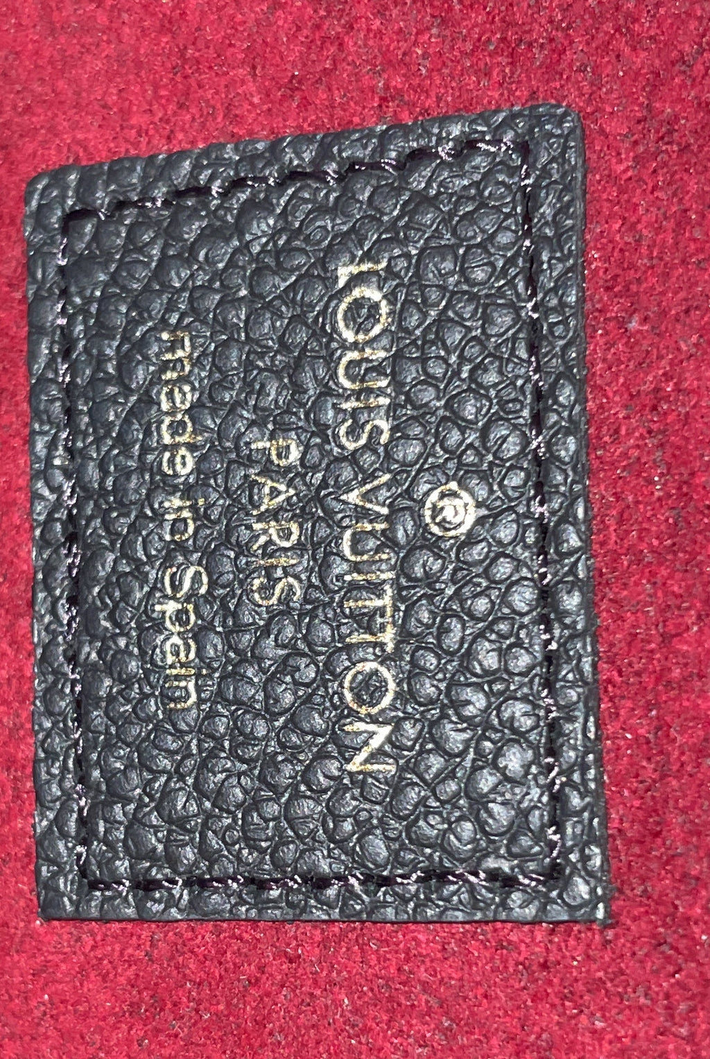 Felicie Pochette Bicolor Monogram Empreinte Giant