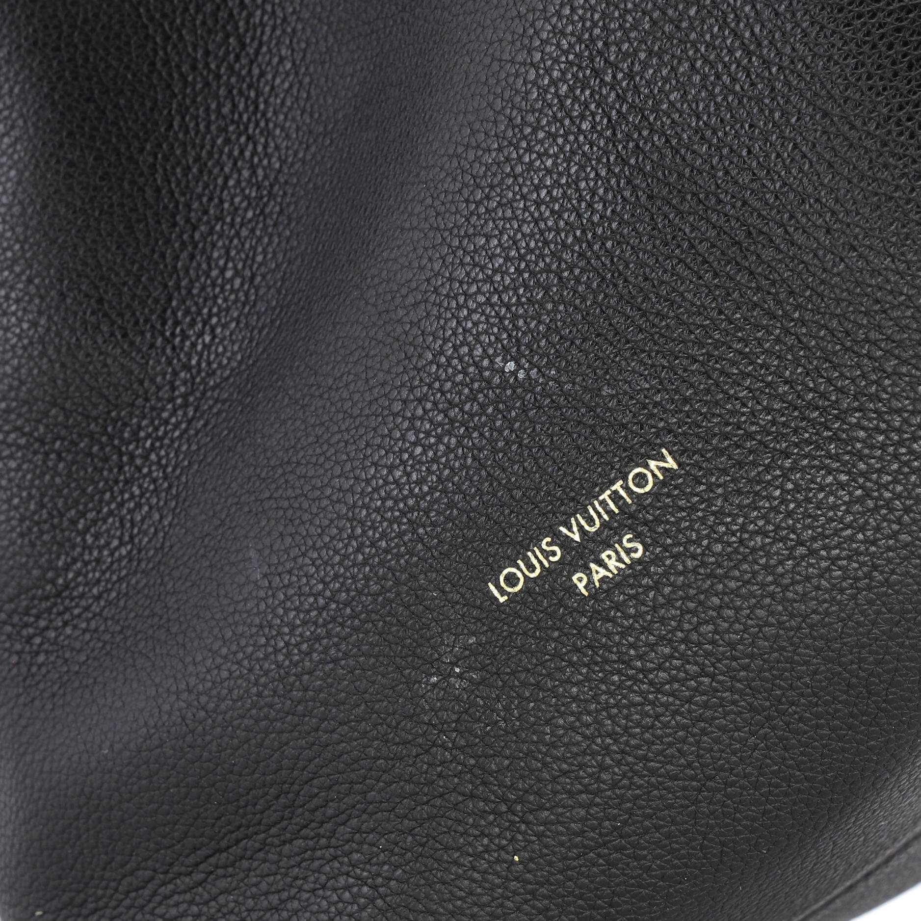 Low Key Hobo Calfskin PM