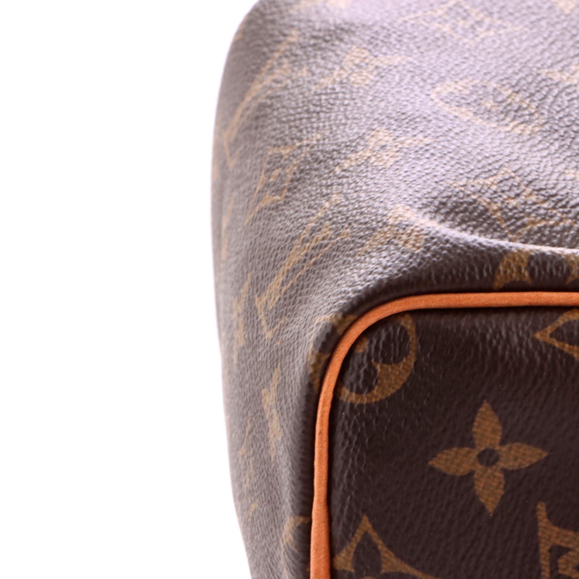 Speedy Bandouliere Bag Monogram Canvas Nano