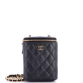 Vertical Classic Vanity Case with Chain Quilted Caviar Small
