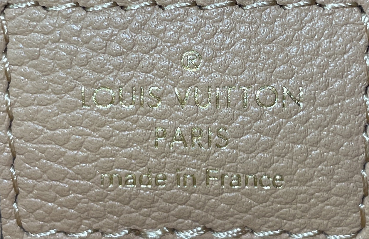 Multi Pochette Accessoires Bicolor Monogram Empreinte Giant