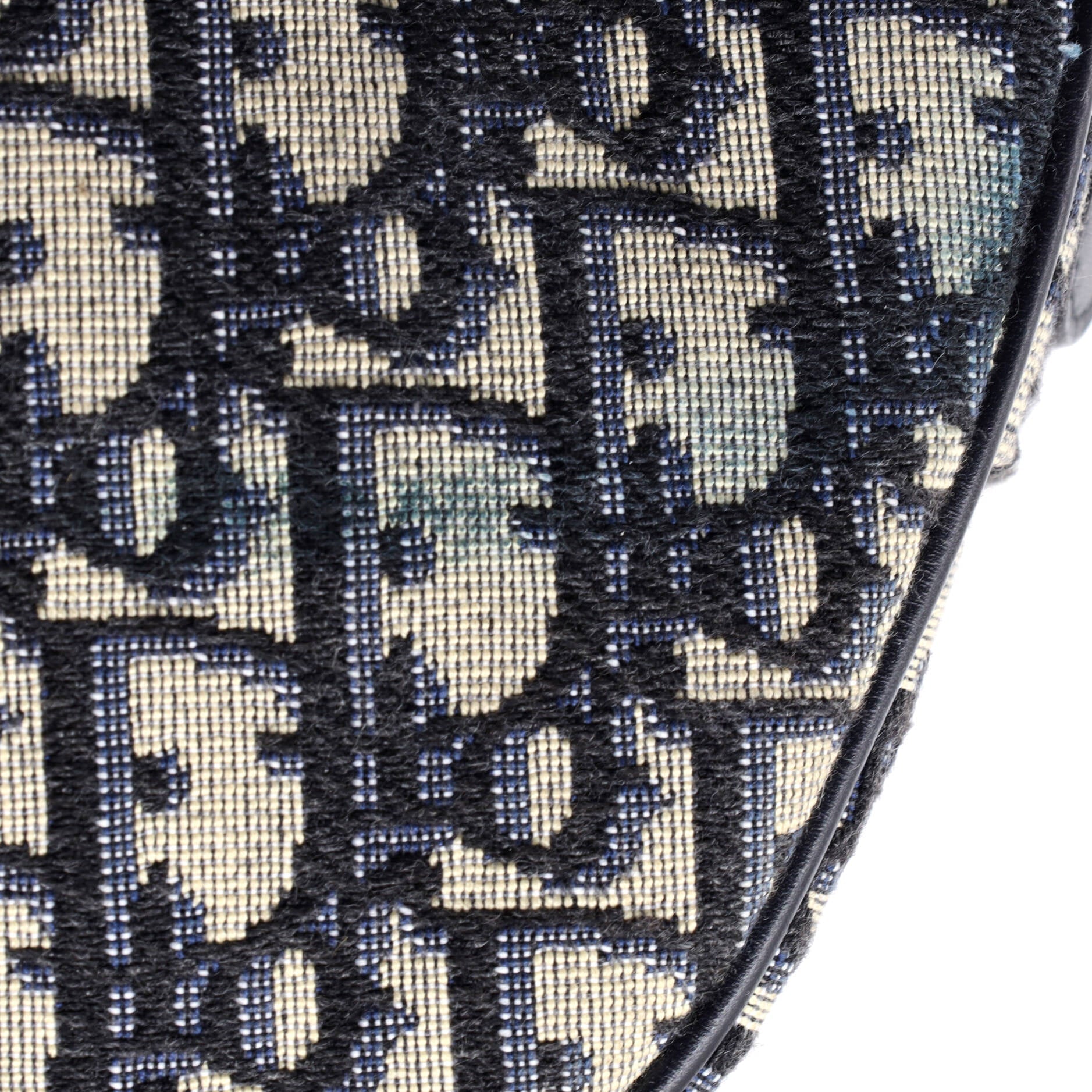 Saddle Handbag Oblique Canvas Medium