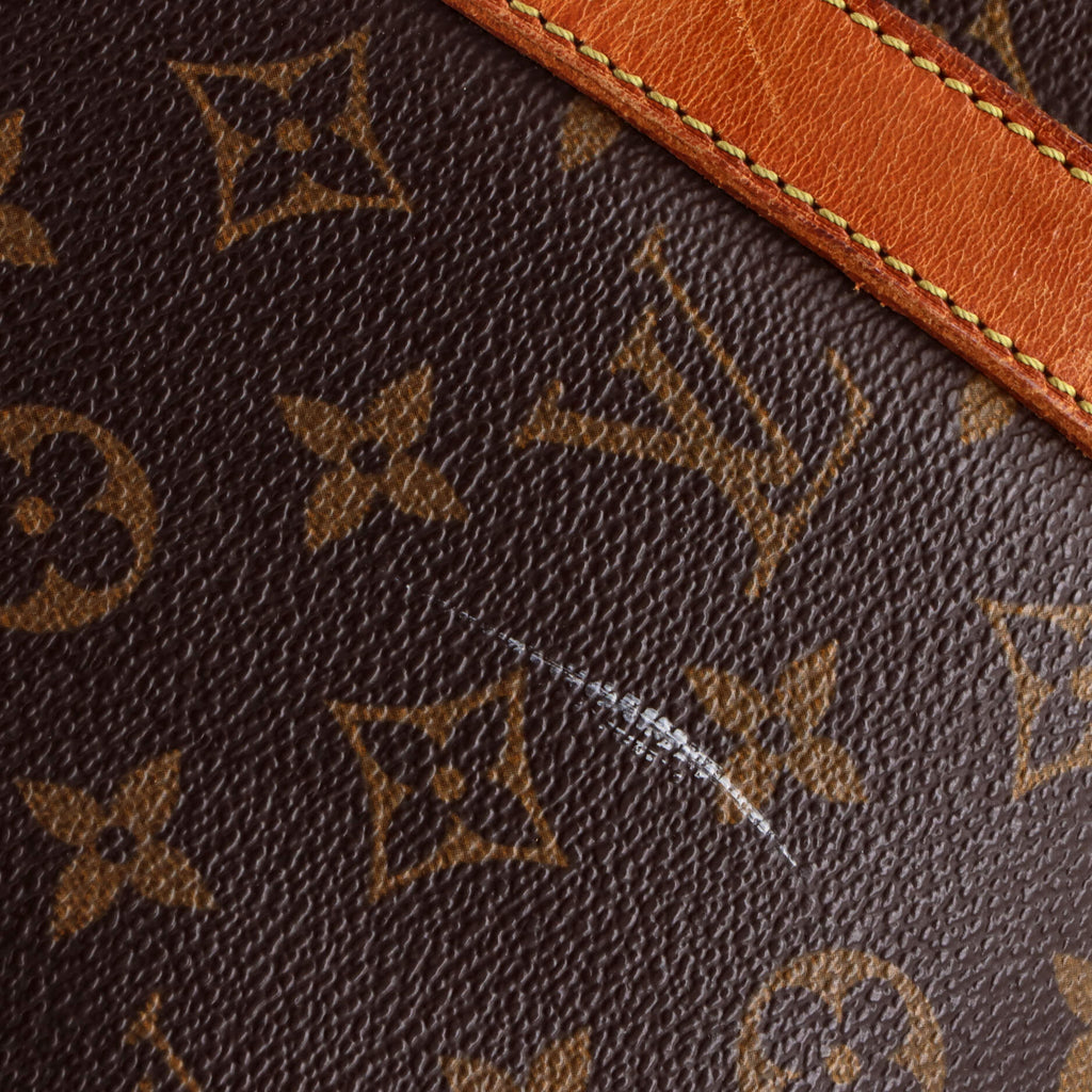 Flanerie Handbag Monogram Canvas 50