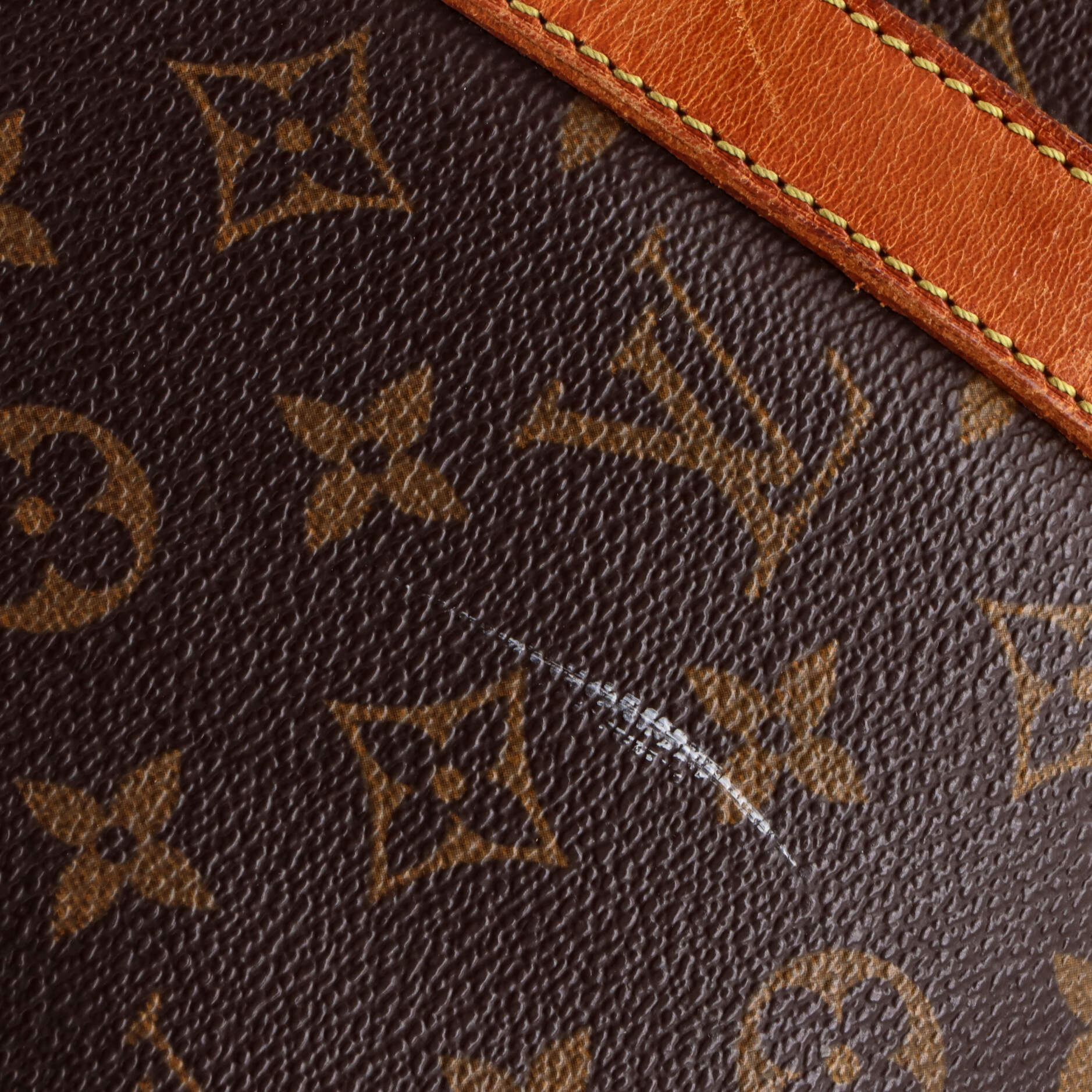 Flanerie Handbag Monogram Canvas 50