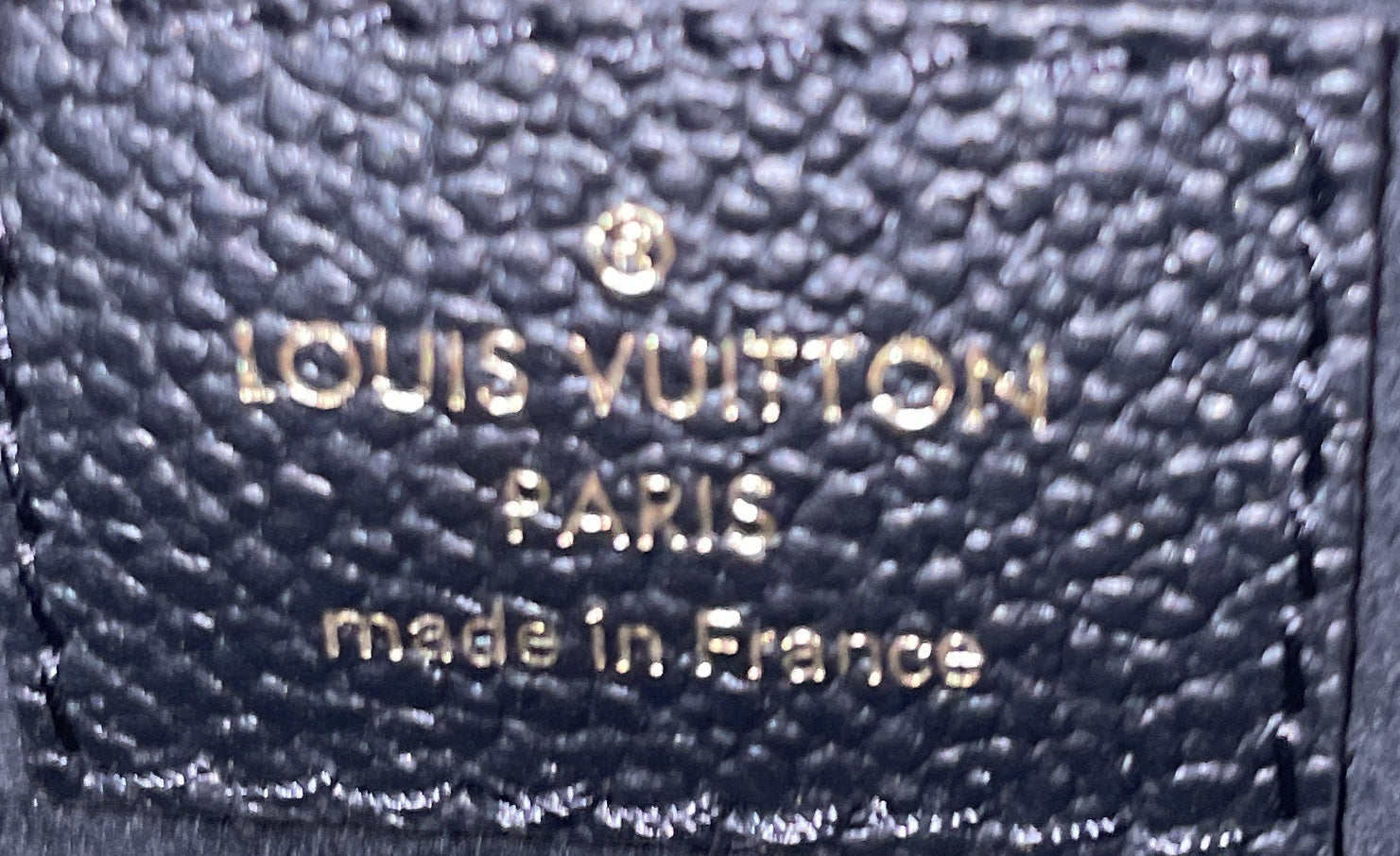 Multi Pochette Accessoires Monogram Empreinte Giant