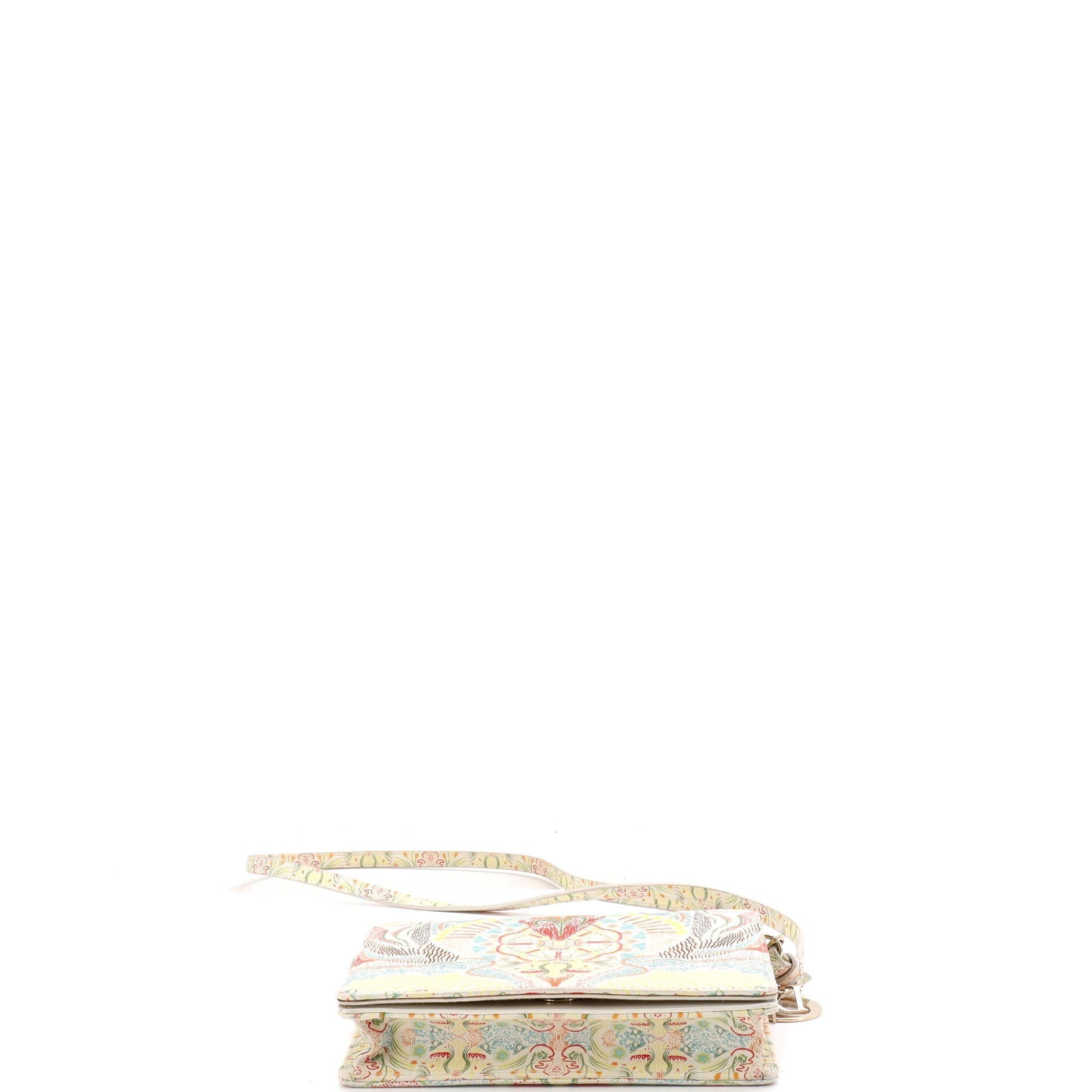 Lady Dior Wallet on Chain Pouch Printed Leather