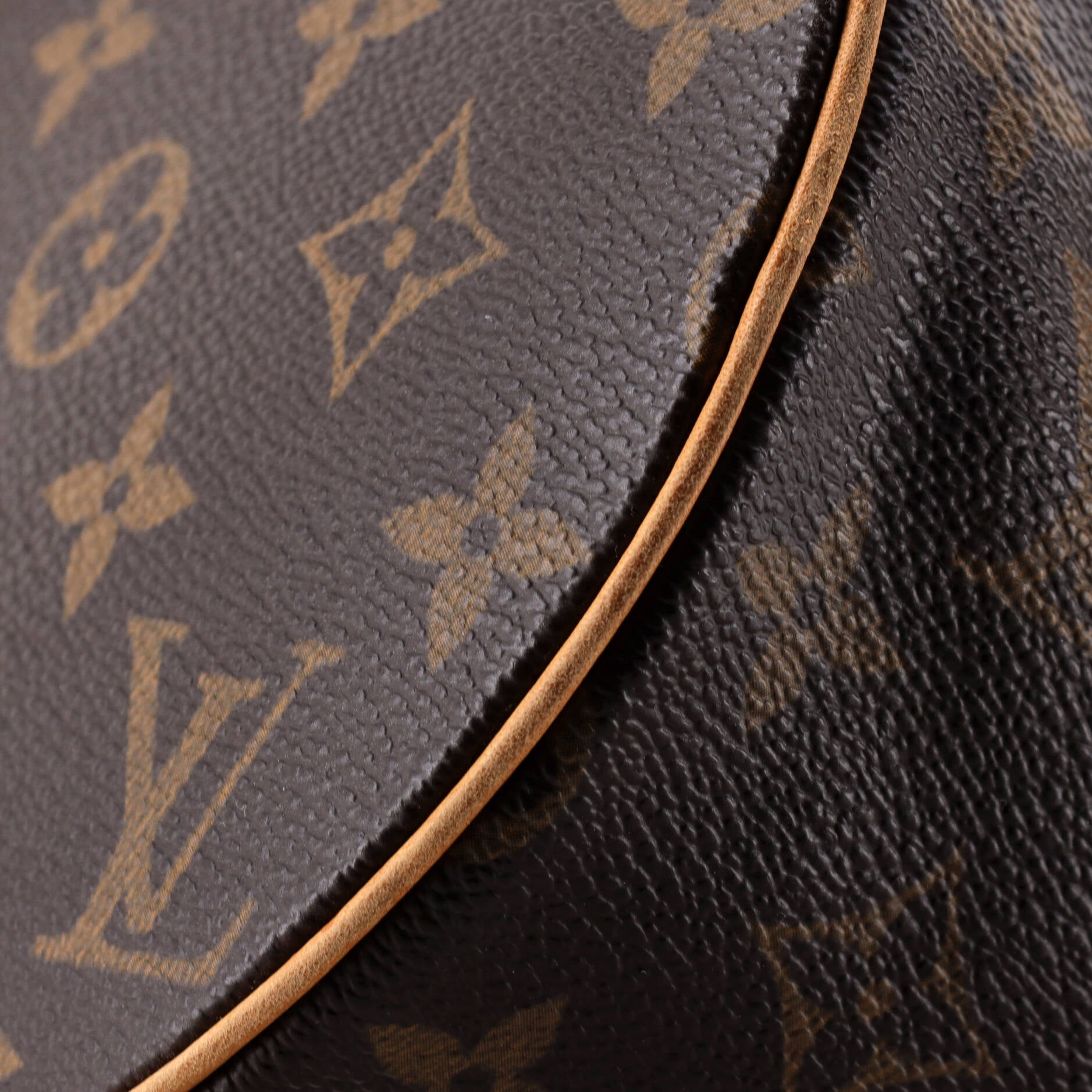 Papillon Handbag Monogram Canvas 30