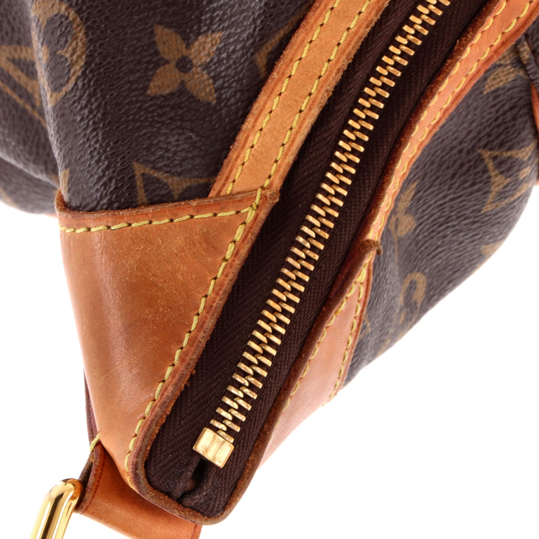Thames Handbag Monogram Canvas GM
