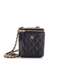 Vertical Classic Vanity Case with Chain Quilted Caviar Small