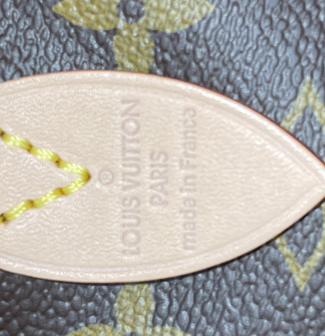 Speedy Bandouliere Bag Monogram Canvas 20