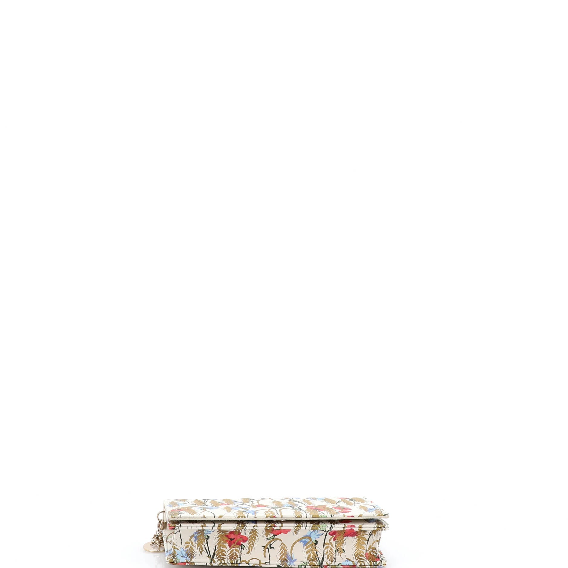 Lady Dior Wallet on Chain Pouch Printed Leather