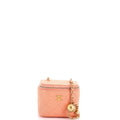 Pearl Crush Vanity Case with Chain Quilted Lambskin Mini
