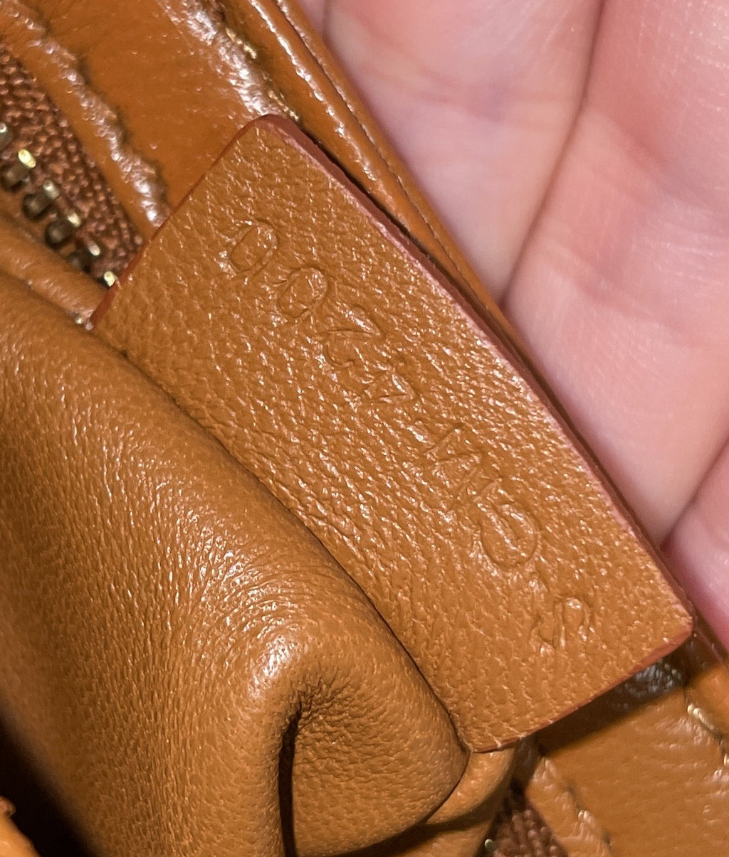 Triomphe Shoulder Bag Canvas with Leather Teen