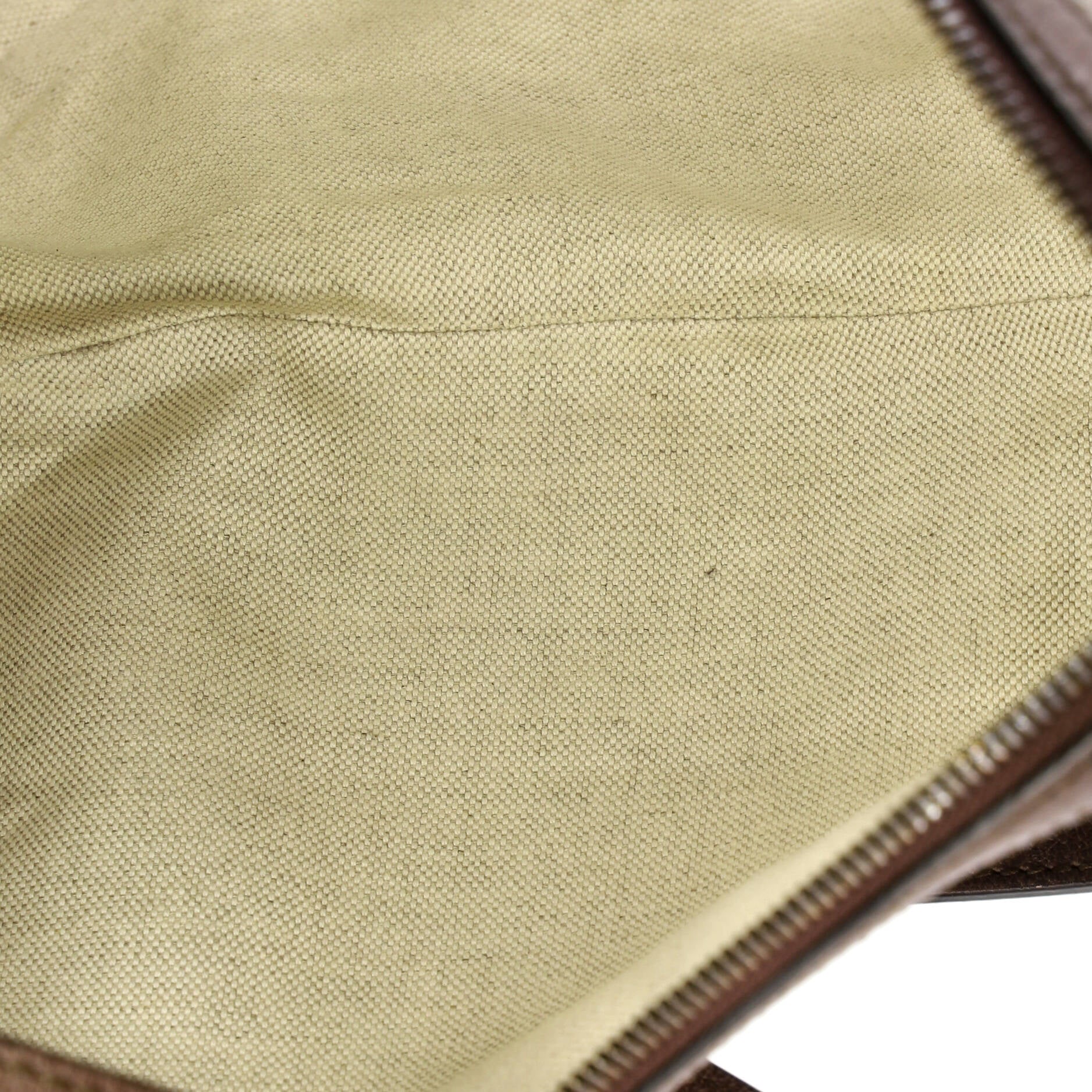 Ophidia Half Moon Hobo GG Coated Canvas Small