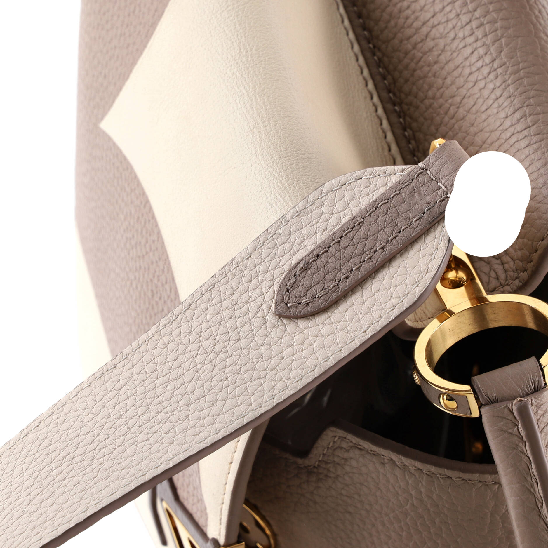 Capucines Bag Monogram Giant Flower Leather BB