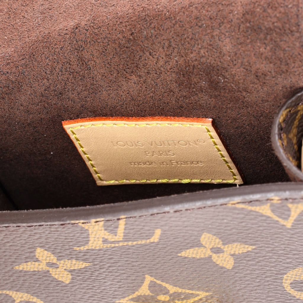 Metis Phone Pouch Monogram Canvas