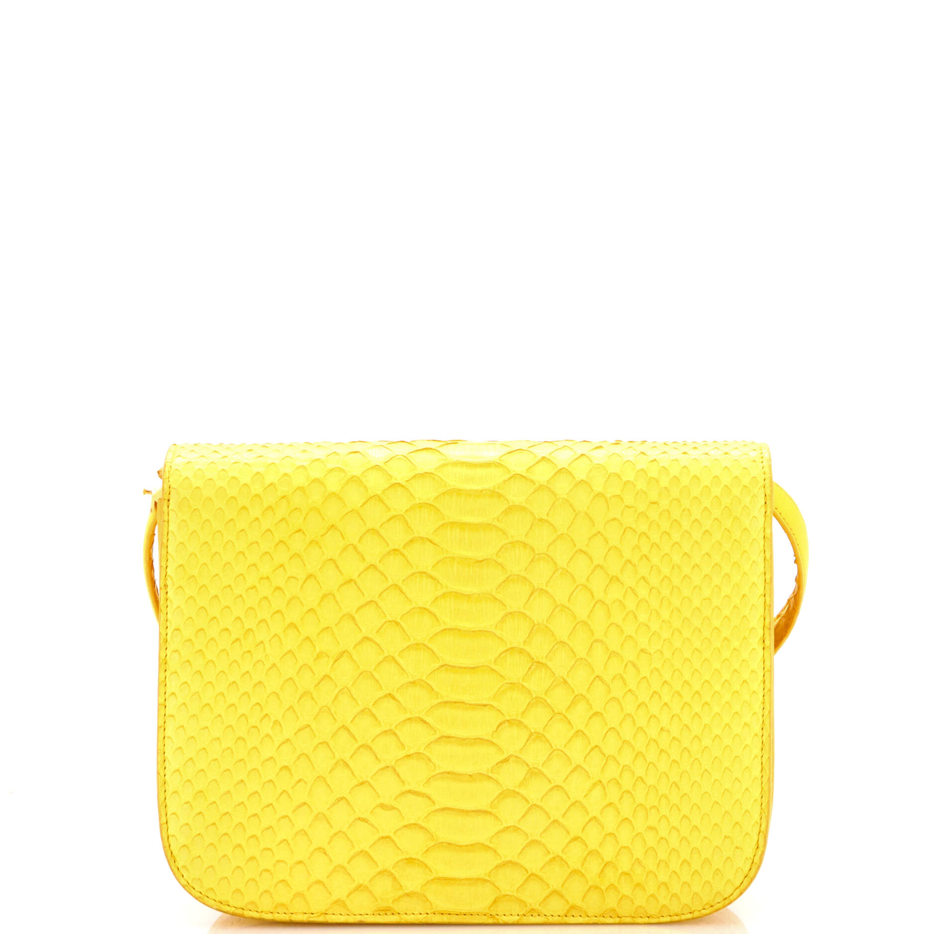 Classic Box Bag Python Medium