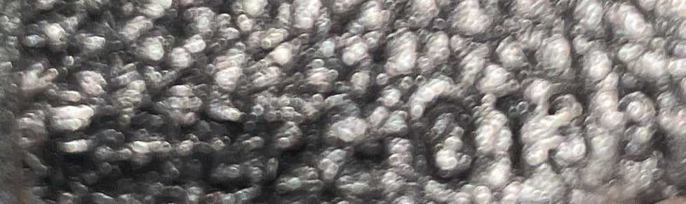Luggage Bag Grainy Leather Nano
