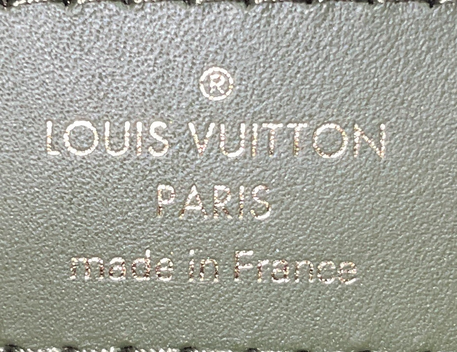 Maxi Multi Pochette Accessoires Monogram Quilted Econyl Nylon