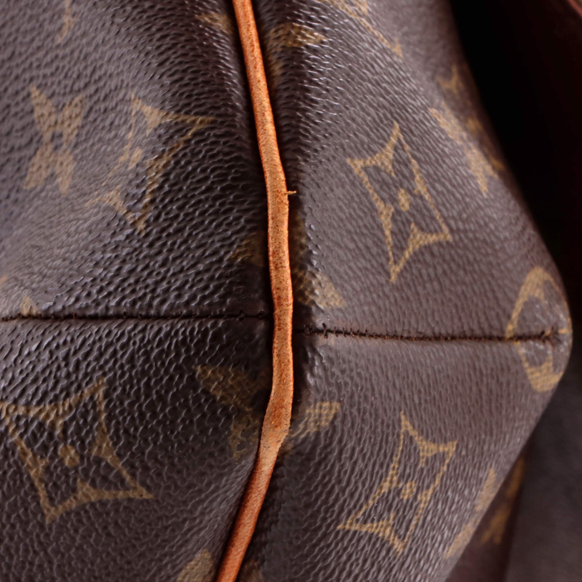 Musette Salsa Handbag Monogram Canvas GM