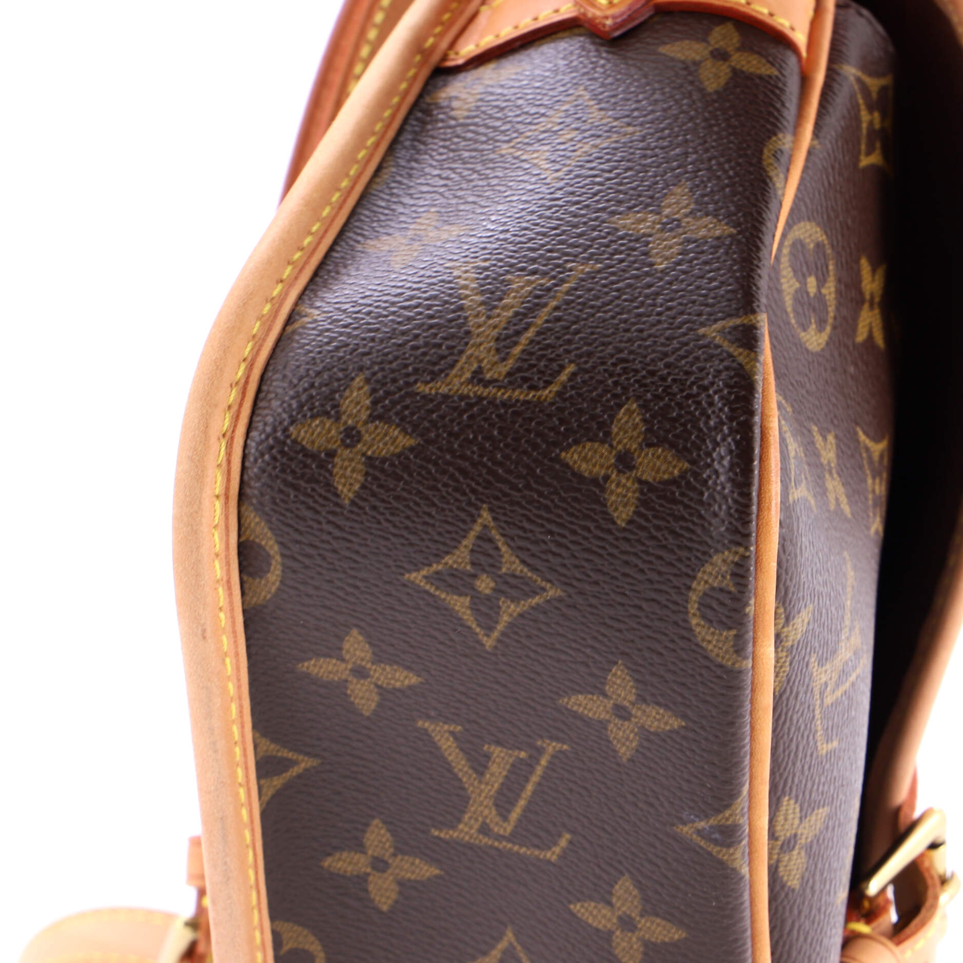 Sologne Handbag Monogram Canvas