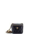 Pearl Crush Vanity Case with Chain Quilted Lambskin Mini